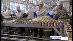 娃哈哈八寶粥生產.gif